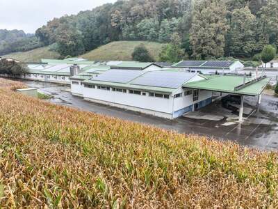 Gewerbeobjekt mieten in 8353 Kapfenstein (Bild 2)