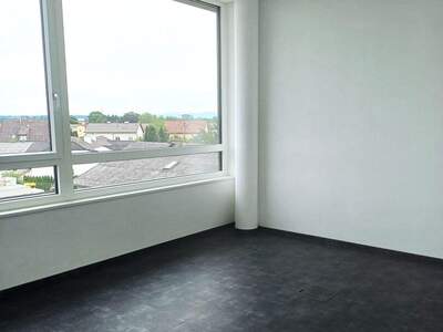 Gewerbeobjekt mieten in 4061 Pasching (Bild 3)