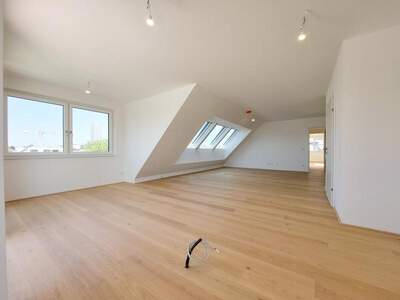 Terrassenwohnung kaufen in 1220 Wien (Bild 2)