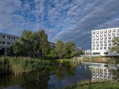 Gewerbeobjekt mieten in 2345 Brunn (Bild 3)