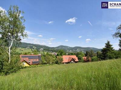 Grundstück kaufen in 8046 Graz (Bild 5)