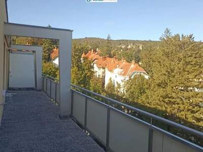 Altbauwohnung kaufen in 2500 Baden (Bild 3)