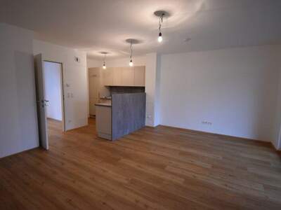 Terrassenwohnung mieten in 3842 Thaya (Bild 1)
