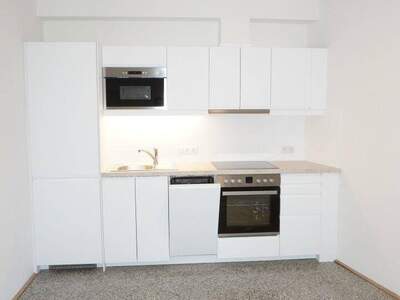 Wohnung mieten in 1020 Wien