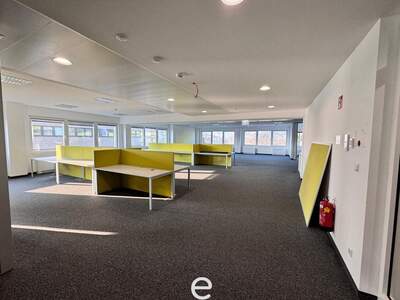 Gewerbeobjekt mieten in 4020 Linz (Bild 4)