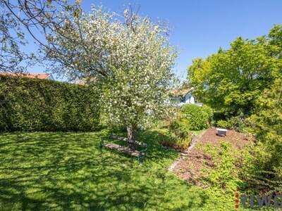 Einfamilienhaus kaufen in 2372 Gießhübl (Bild 5)