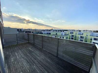 Wohnung mieten in 1220 Wien