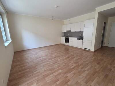 Terrassenwohnung mieten in 2754 Waldegg (Bild 3)