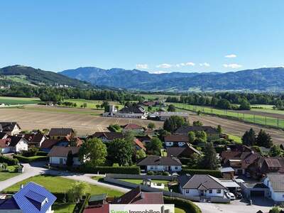 Grundstück kaufen in 4542 Nußbach (Bild 2)