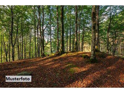 Grundstück kaufen in 6365 Kirchberg