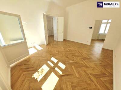 Wohnung kaufen in 1090 Wien (Bild 3)
