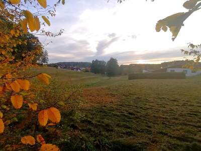 Grundstück kaufen in 8212 Pischelsdorf