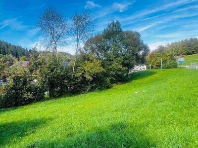 Grundstück kaufen in 4201 Eidenberg