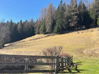 Grundstück kaufen in 9546 Bad Kleinkirchheim