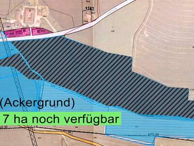 Gewerbeobjekt kaufen in 4643 Pratsdorf (Bild 3)