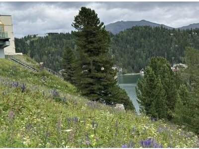 Grundstück kaufen in 9565 Turracherhöhe