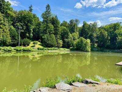 Wohnung kaufen in 8043 Graz (Bild 1)