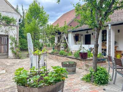 Haus kaufen in 2162 Falkenstein