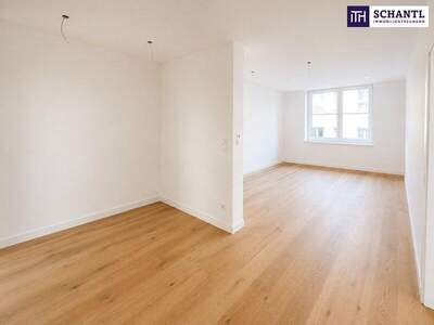 Terrassenwohnung kaufen in 1020 Wien (Bild 2)