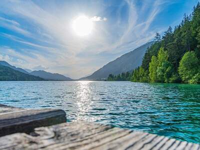 Gewerbeobjekt kaufen in 9872 Dellach