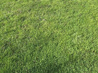 Grundstück provisionsfrei kaufen in 2020 Hollabrunn