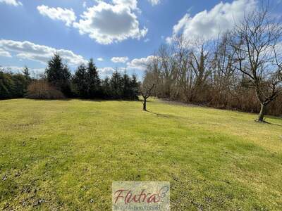 Grundstück kaufen in 4614 Marchtrenk (Bild 3)