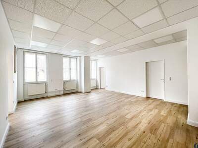 Gewerbeobjekt mieten in 3430 Tulln (Bild 4)