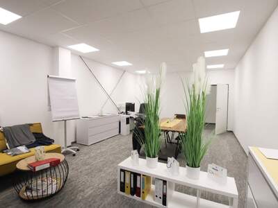 Gewerbeobjekt mieten in 4844 Regau (Bild 1)