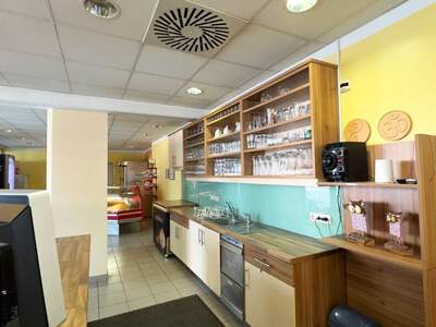 Gewerbeobjekt mieten in 4482 Ennsdorf (Bild 4)