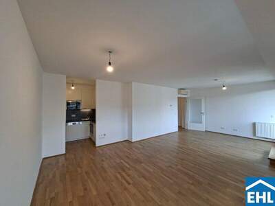 Terrassenwohnung mieten in 1060 Wien (Bild 3)