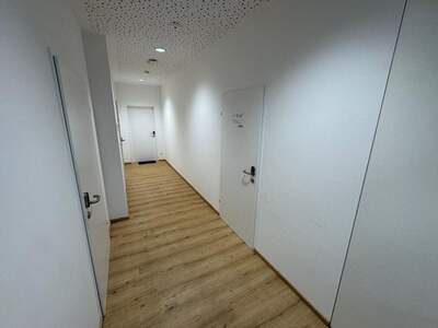 Gewerbeobjekt mieten in 4284 Tragwein (Bild 4)