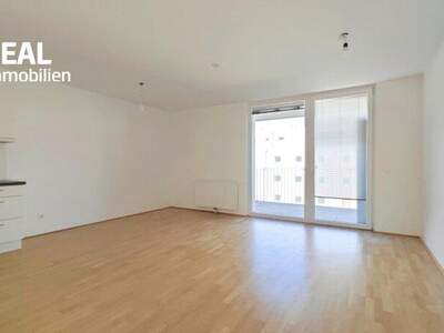 Terrassenwohnung mieten in 3100 St. Pölten (Bild 3)