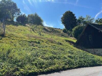 Grundstück kaufen in 3970 Weitra (Bild 1)