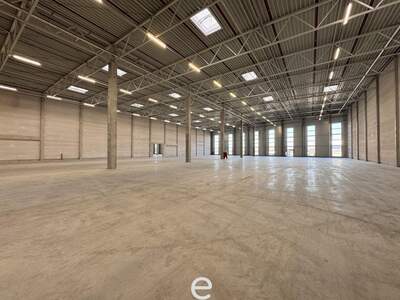 Gewerbeobjekt mieten in 4470 Enns (Bild 4)