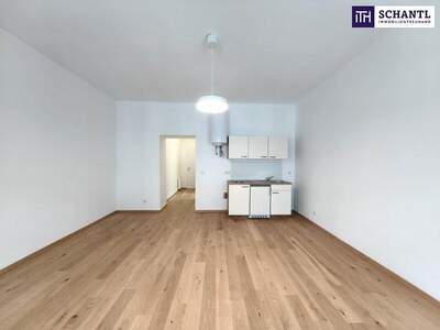 Wohnung kaufen in 1100 Wien (Bild 5)