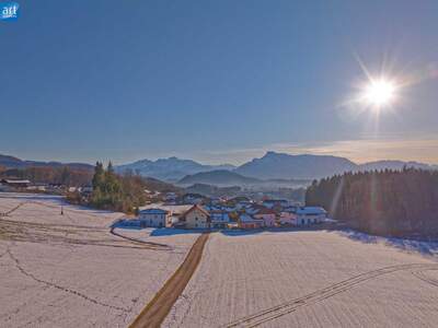 Grundstück kaufen in 5300 Hallwang (Bild 1)