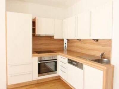 Terrassenwohnung kaufen in 1220 Wien (Bild 3)