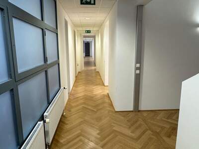 Gewerbeobjekt mieten in 1010 Wien (Bild 3)