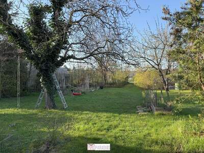 Grundstück kaufen in 2512 Tribuswinkel