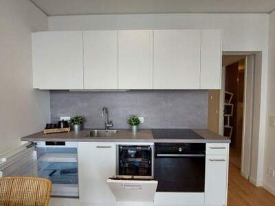 Terrassenwohnung mieten in 1220 Wien (Bild 3)