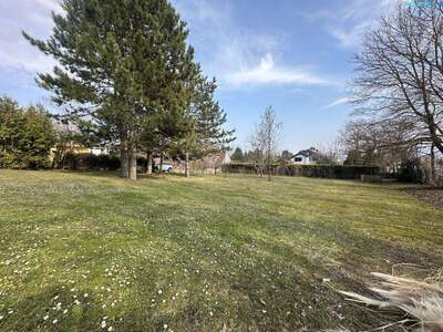 Grundstück kaufen in 2721 Bad Fischau