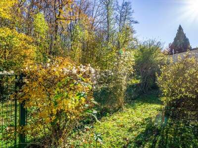 Grundstück kaufen in 2384 Breitenfurt (Bild 5)