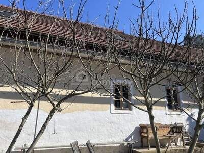 Haus kaufen in 8384 Minihof