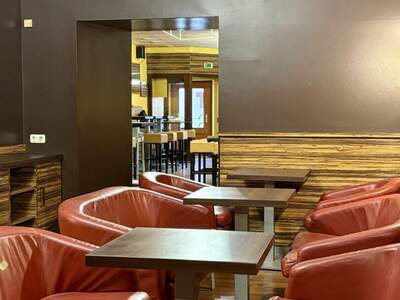 Gewerbeobjekt mieten in 2700 Wiener Neustadt (Bild 5)