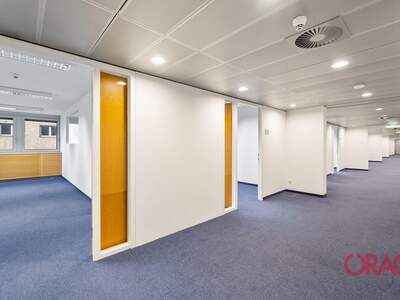 Gewerbeobjekt mieten in 1040 Wien (Bild 4)