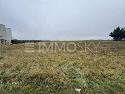 Grundstück kaufen in 2201 Kapellerfeld (Bild 1)