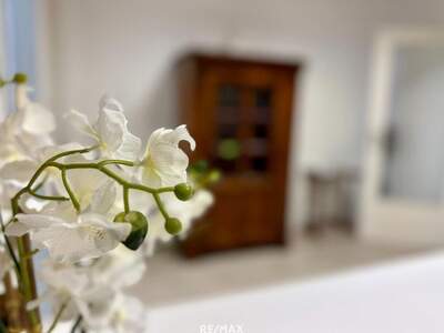 Gewerbeobjekt kaufen in 8724 Spielberg (Bild 1)