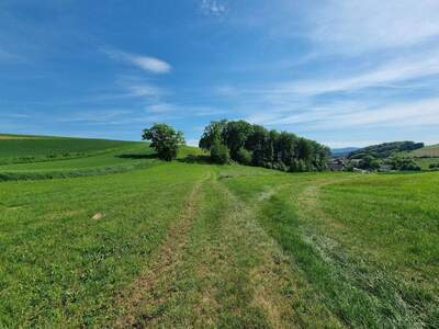 Gewerbeobjekt kaufen in 3392 Heitzing