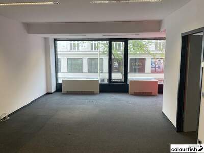 Gewerbeobjekt mieten in 1070 Wien (Bild 2)