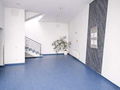 Einzelhandel mieten in 1230 Wien (Bild 2)